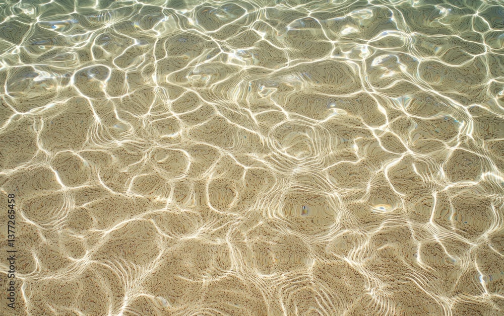 Poster shallow water with sandy bottom, sunlight reflecting and creating ripple patterns on the surface. th