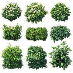 Lush Garden Bushes PNG green garden bushes PNG lush bushes PNG decorative garden bushes PNG vibrant garden plants PNG isolated transparent background image