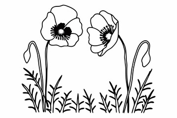 Naklejka premium Poppy flowers in continuous line art drawing style. Doodle floral border with two flowers blooming among grass. Minimalist black linear design isolated on white background. Vector illustration