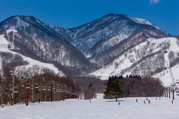 Skiers and snowboarders on a gentle ski slope with mountains behind. Hakuba, Japan