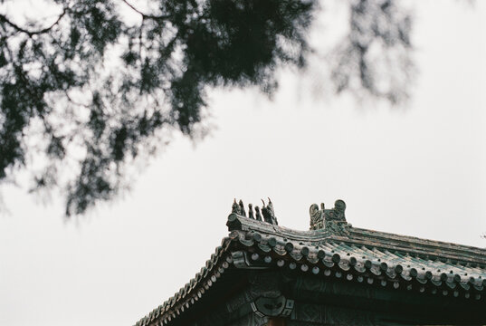 Ornate Chinese Temple Roof Captured on Film