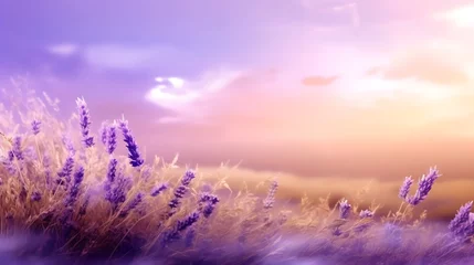 Fototapete Rund Lavender blossoms sway gently in sunset glow © ArsakhaDevandra
