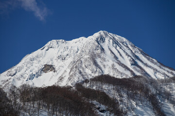 Fototapeta premium 快晴の冬の朝 林から顔を出す雪をいただく妙高山