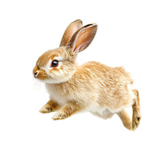 Obraz premium Minimalist leaping rabbit with a soft golden hue, isolated on white background