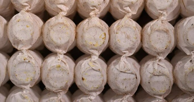 glued together old mattress springs in white fabric after long-term use