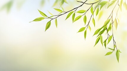 Obraz premium Serene green leaves on branch against soft blurred background