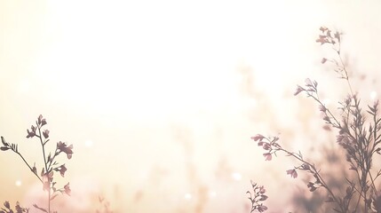Delicate wildflowers silhouetted against a soft and diffused background