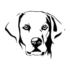 Black Labrador Head Silhouette Vector