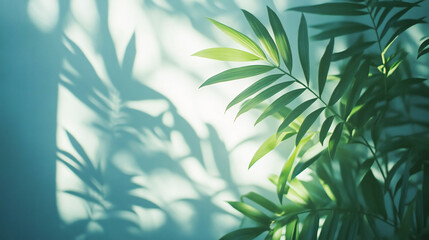 Naklejka premium Gradient window natural shadow overlay effect on white texture background, for overlay on product presentation, backdrop and mockup