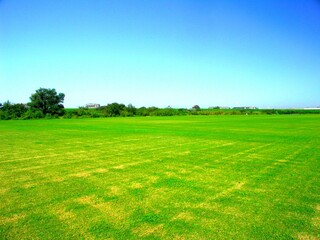 秋の除草されたサッカー場のある江戸川河川敷風景