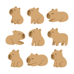 set of capybara
