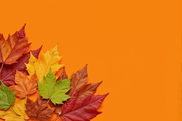 Fototapeta premium A Vibrant Collection of Autumn Leaves in Vivid Colors Displayed Against a Bright Orange Background Perfect for Seasonal Decor and Inspiration