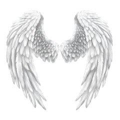 Enormous angel wings with intricate feather details, isolated on transparent background