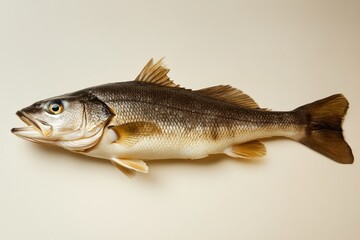 Obraz premium A Detailed Close Up Photograph of a Whole Fish