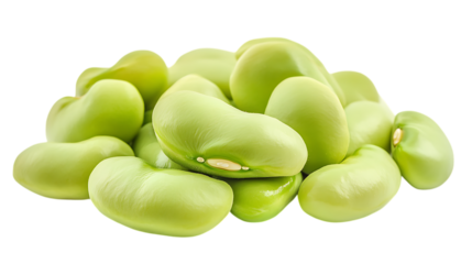 Broad Bean Fava Bean stack with half slice fallin