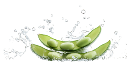 Broad Bean Fava Bean stack with half slice fallin