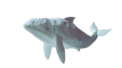 White whale floating in the air against a clear blue sky in a surreal and imaginative scene