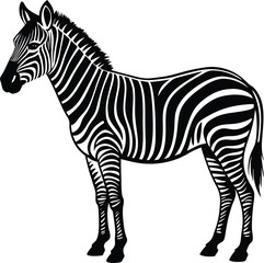 Zebra Silhouette Vector Illustration