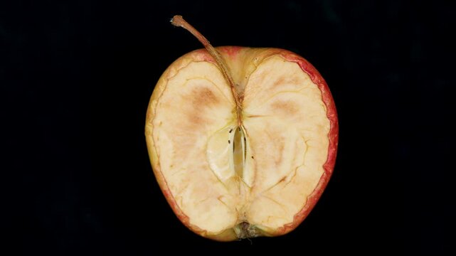 Half Of Fresh Ripe Red Green Apple Drying Process On Black Background.