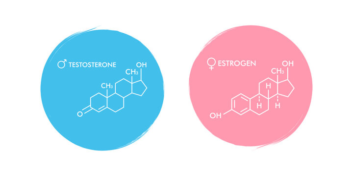 Estrogen and Testosterone hormones symbol. Male and female sex hormones molecular chemical formula 