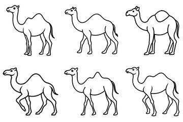 camel collection, set of camel