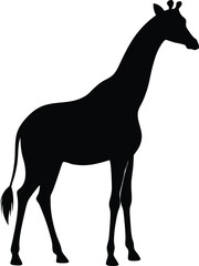 Giraffe Silhouette Vector Illustration
