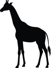 Giraffe Silhouette Vector Illustration