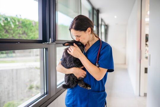 Veterinarian lovingly kissing a black rabbit in a clinic