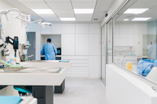 Veterinarian working in modern veterinary clinic operating room