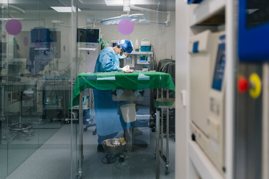 Veterinarian surgeon performing surgery on animal in operating room