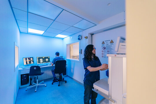 Veterinarians analyzing a cat scan in a veterinary clinic