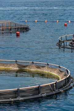 Aquatic fish farming cages