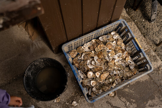 A bucket overflowing with oyster shells