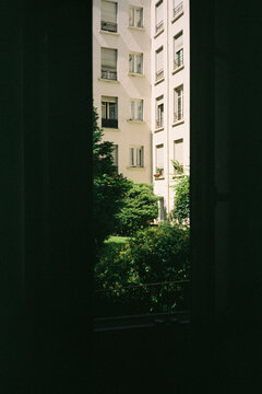 Light comes through a window revealing serene garden views 