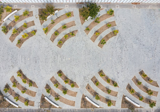 Modern Curved Plaza Design with Symmetrical Palm Gardens - Powered by Adobe
