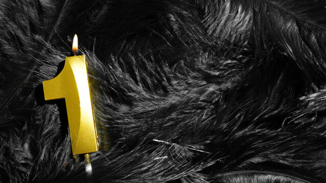 Number 1 golden celebration birthday candle on Black Feathers Background. First year. concept of celebrating birthday and anniversary