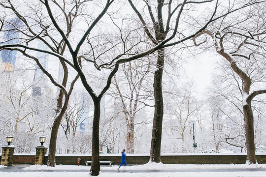 Runner in snowy Central Park
