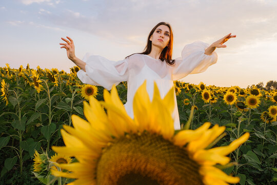A dance in sunflower field
