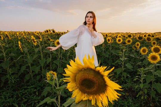 A graceful girl in sunflowers