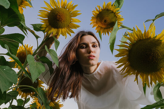 A girl and sunflowers above her.