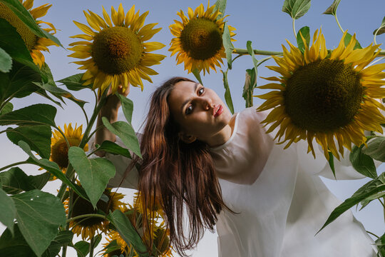 A girl looking down through sunflowers.