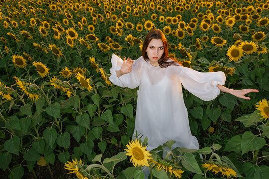 Through a sunflower field