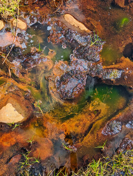 Ferruginous waters