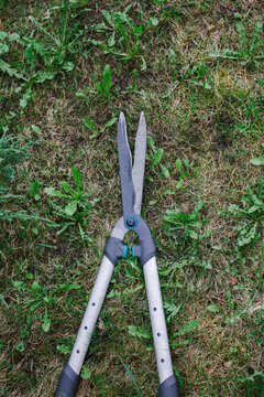 The garden shears lay on the grass.