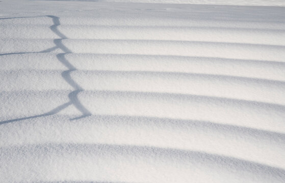 Close-up of snow patterns with rhythmic shadows
