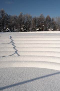 Pristine snow field with shadows in winter
