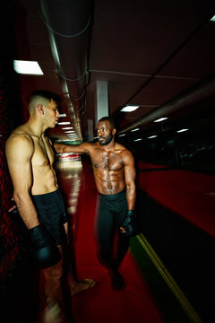 Muscular male boxers speaking