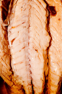 some frigate tuna fillets in a tin can