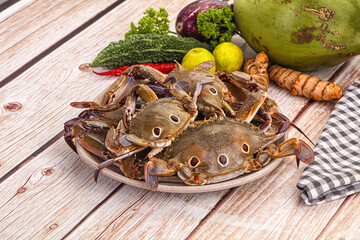 Wild raw crab for cooking