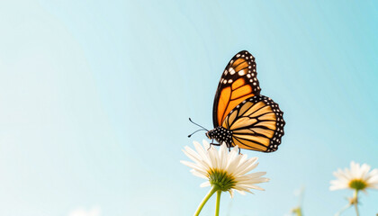 Naklejka premium Butterfly resting on a flower against a clear blue sky 